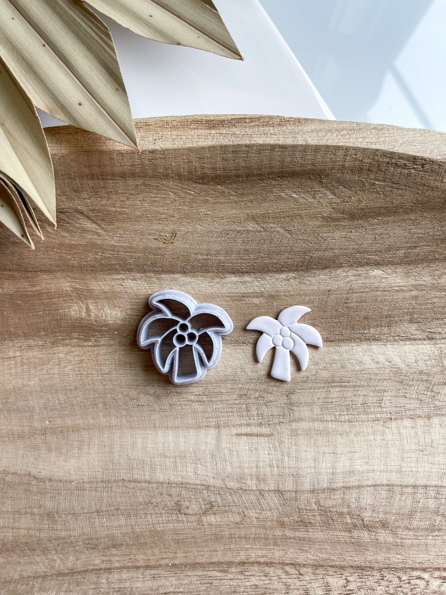 Palm Tree