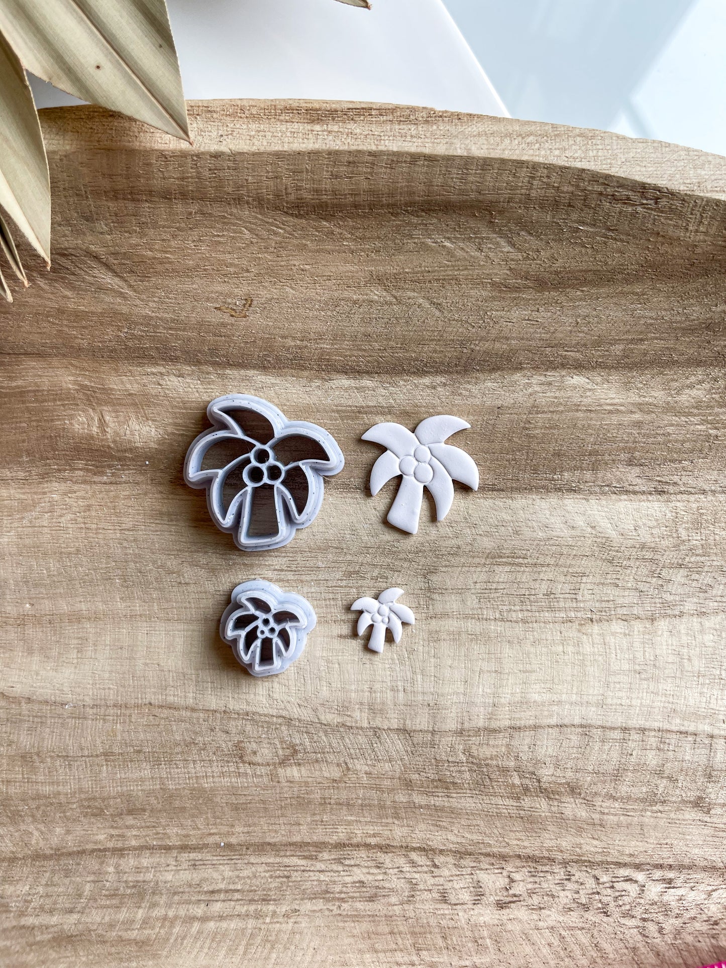 Palm Tree