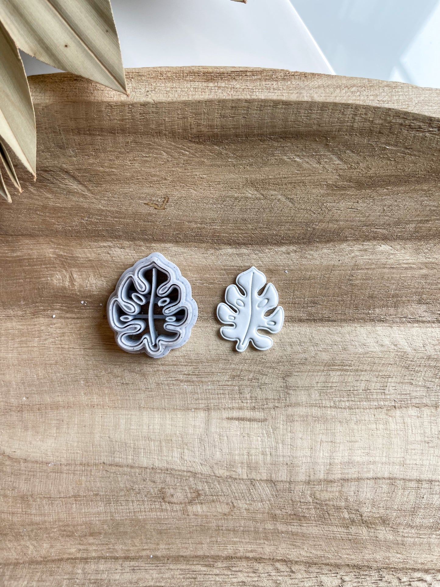Monstera Leaf