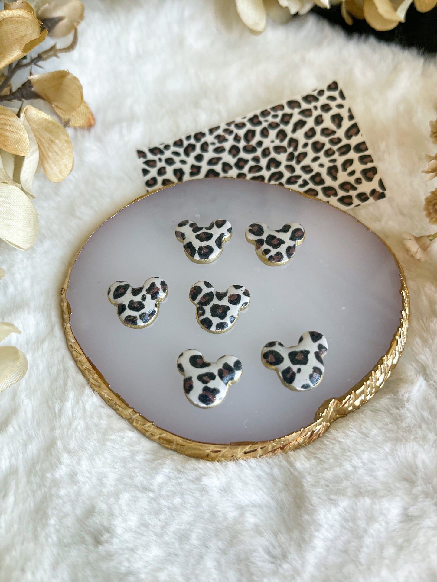 Transfer 27 (Leopard)