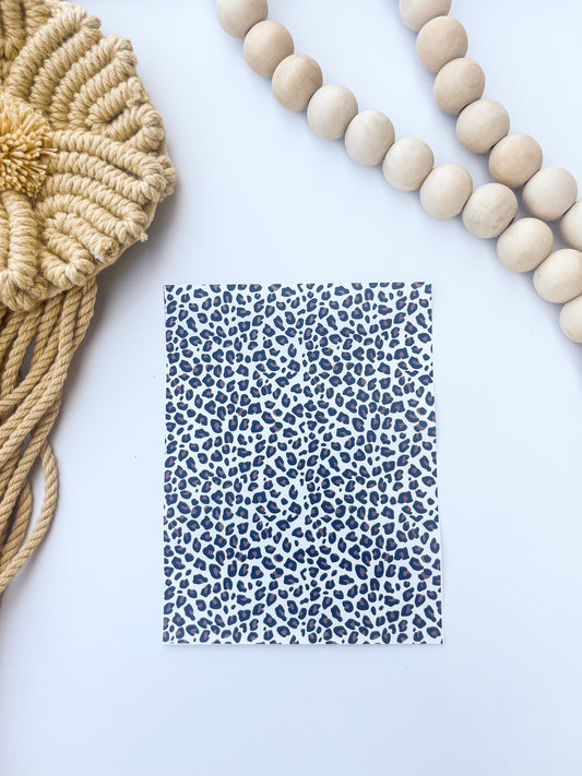 Transfer 27 (Leopard)