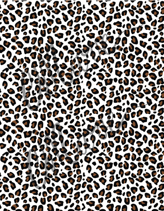 Transfer 27 (Leopard)